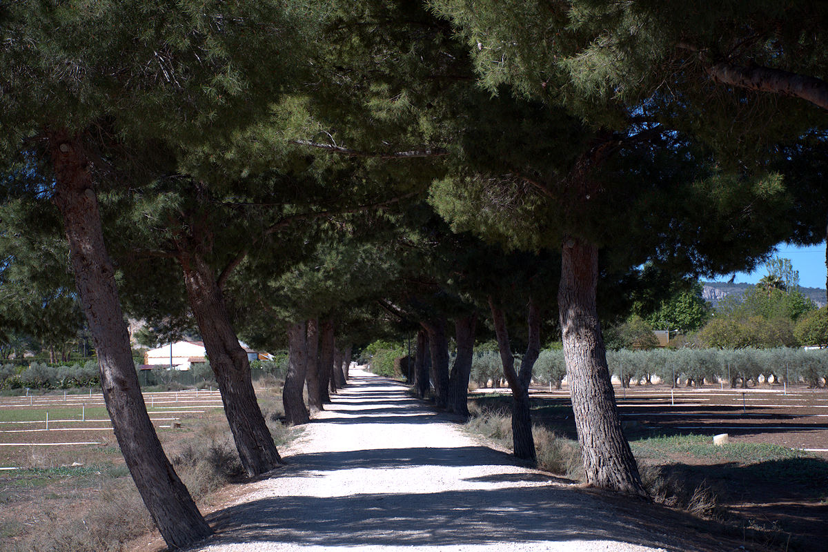 VILLENA • VOIE VERTE DU « XIXARRA»