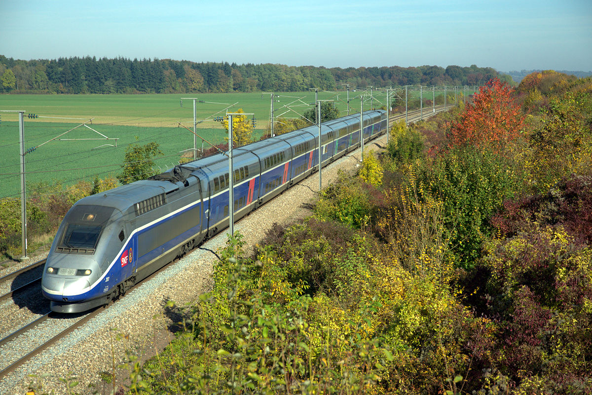 TGV 203