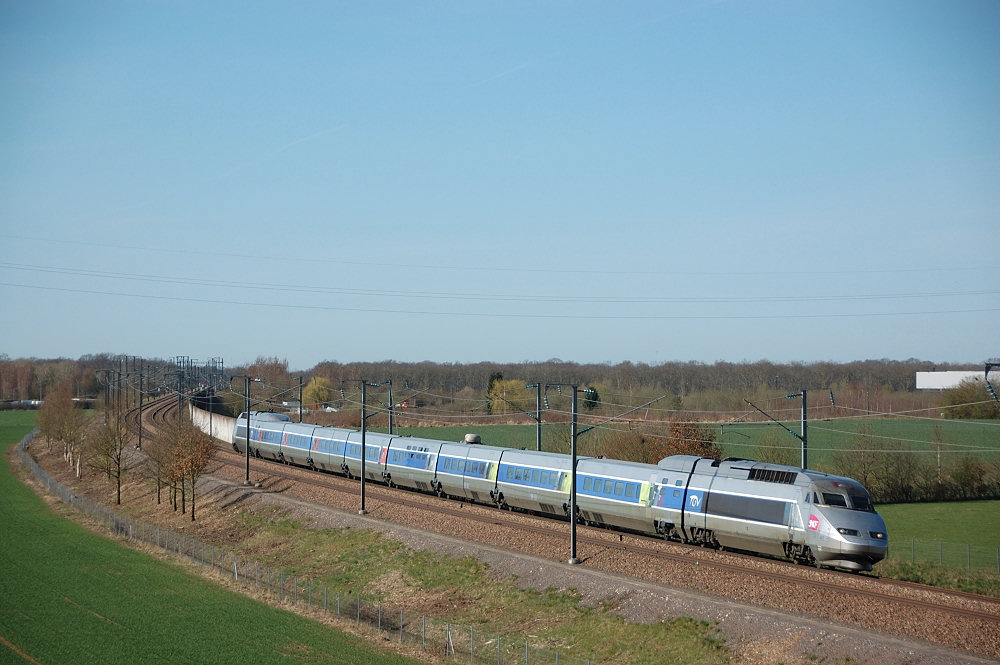 TGV 503