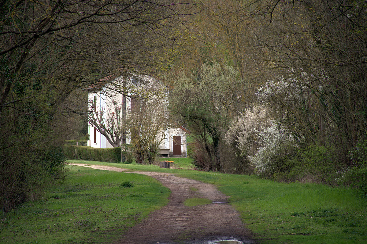 CHAUMES-EN-BRIE • SENTIER DE PROMENADE ET RANDONNÉE